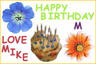 A birthday card with a cupcake and flowers