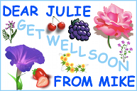 A get well soon card with flowers and fruit